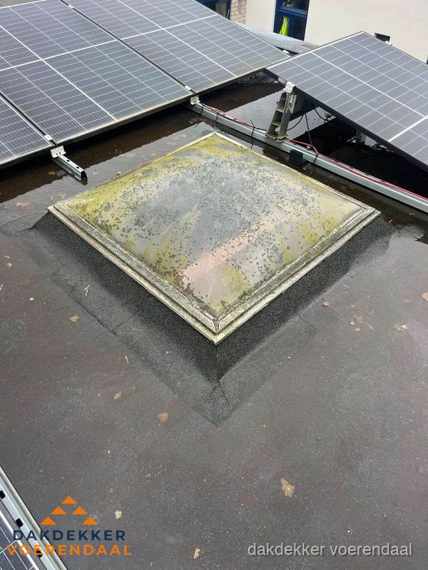 Vervuilde lichtkoepel op plat dak met zonnepanelen in Voerendaal Vervuilde lichtkoepel op plat dak met zonnepanelen in Voerendaal