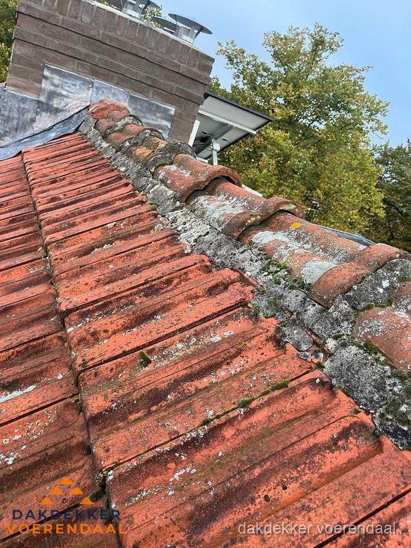 Verweerd hellend dak met mosgroei op nokvorst in Voerendaal Verweerd hellend dak met mosgroei op nokvorst in Voerendaal