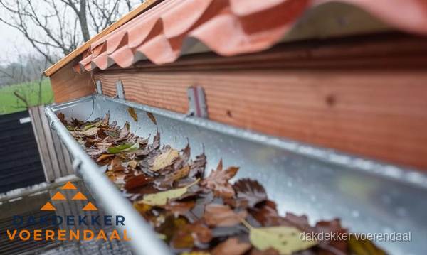Dakgoot vol bladeren die gereinigd moet worden in Voerendaal Dakgoot vol bladeren die gereinigd moet worden in Voerendaal