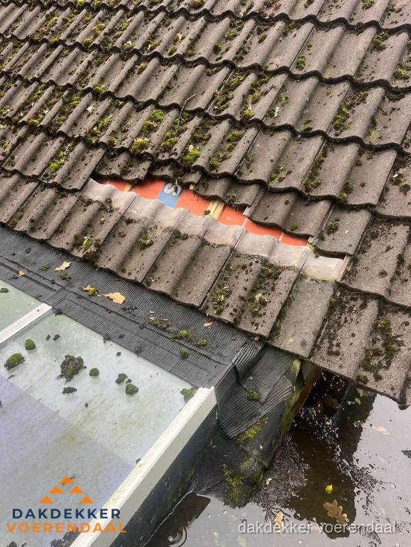 Beschadigd pannendak met ontbrekende dakpannen voor reparatie in Voerendaal Beschadigd pannendak met ontbrekende dakpannen voor reparatie in Voerendaal