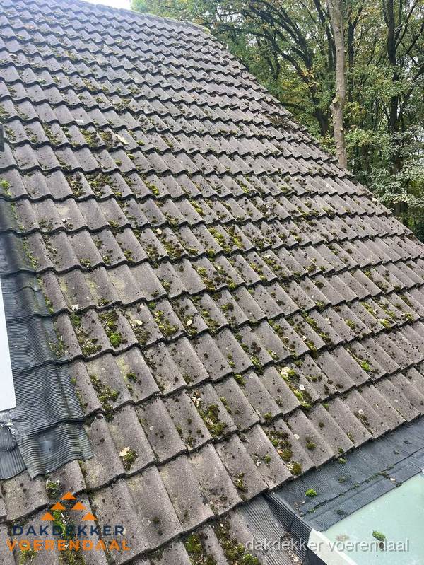 Verweerd pannendak met mosgroei dat renovatie nodig heeft in Voerendaal Verweerd pannendak met mosgroei dat renovatie nodig heeft in Voerendaal